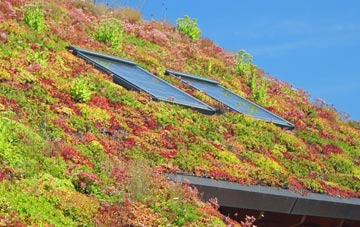 Fring living roof systems